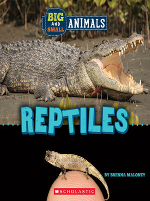 cover image of Reptiles (Wild World